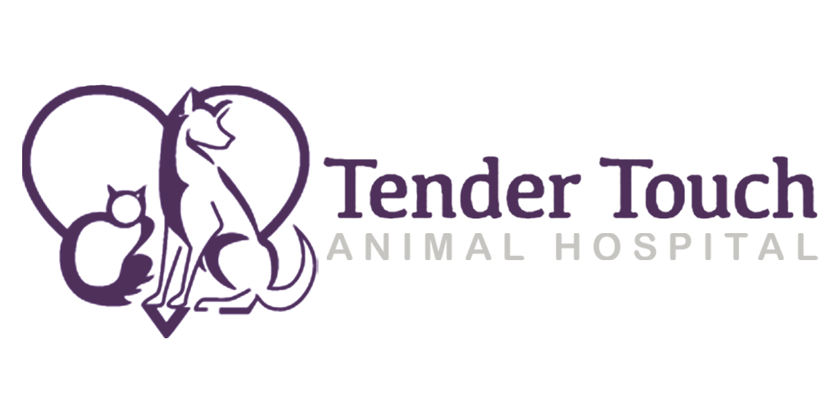 Tender_Touch_Logo